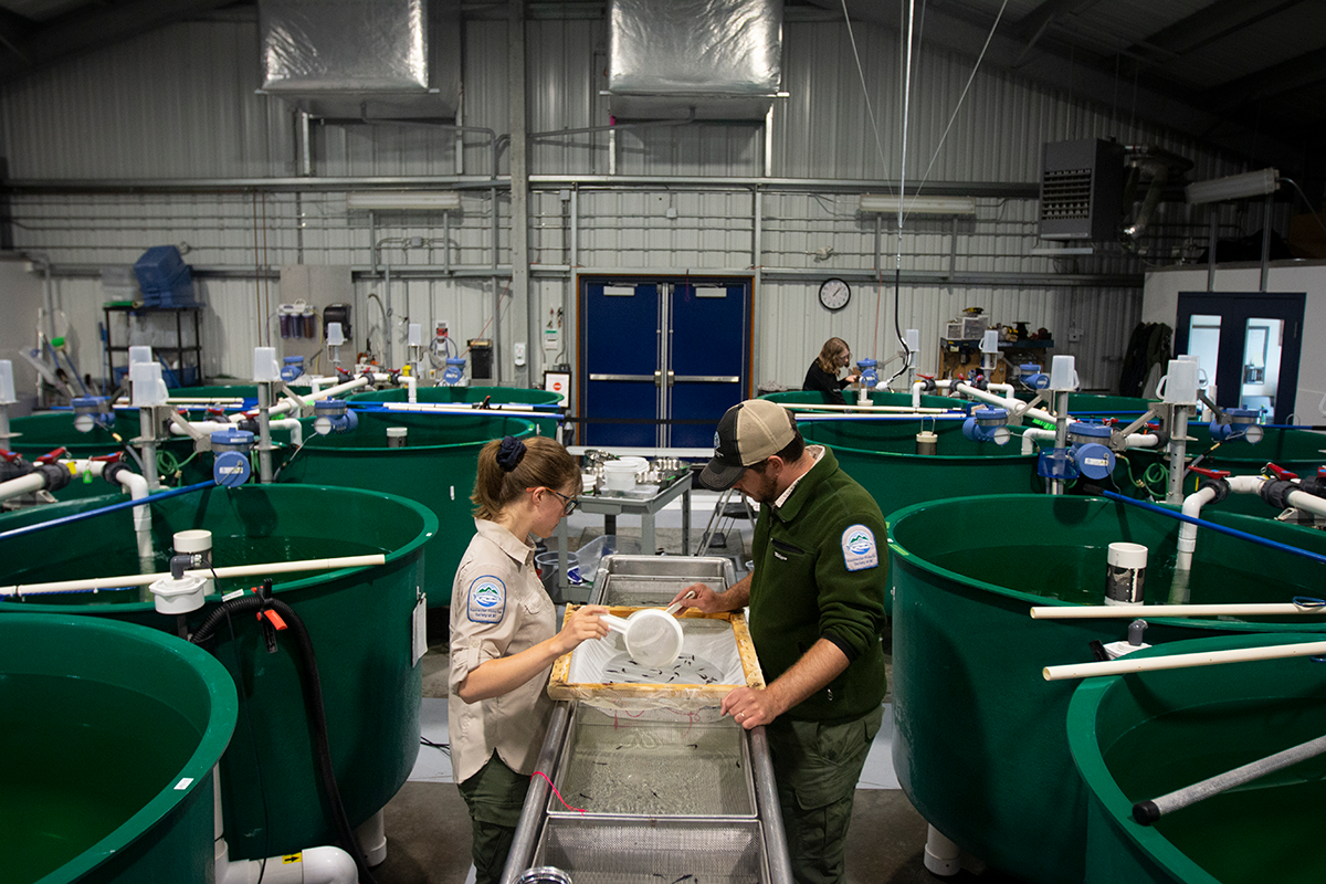 A man and a woman wearing khaki and green uniforms work in a large warehouse building, standing at a water table and surrounded by large green tanks.