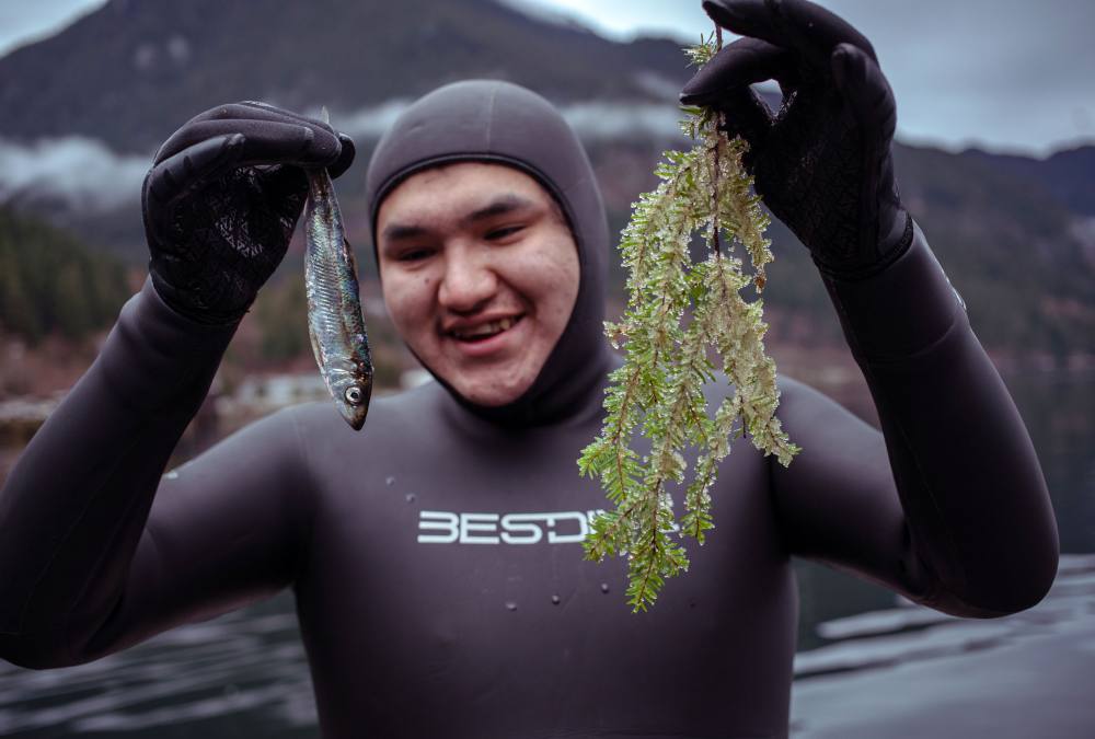 A person in a wetsuit with a hood holds up a herring, as well as an evergreen branch coated in herring eggs.