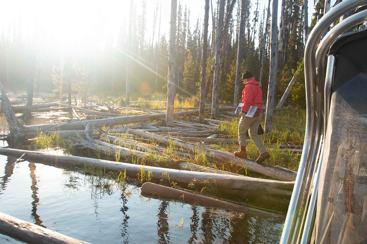 A woman in a red jacket walks on a log next to a shoreline. Part of a boat appears on the right and the sun shines from the left. 
