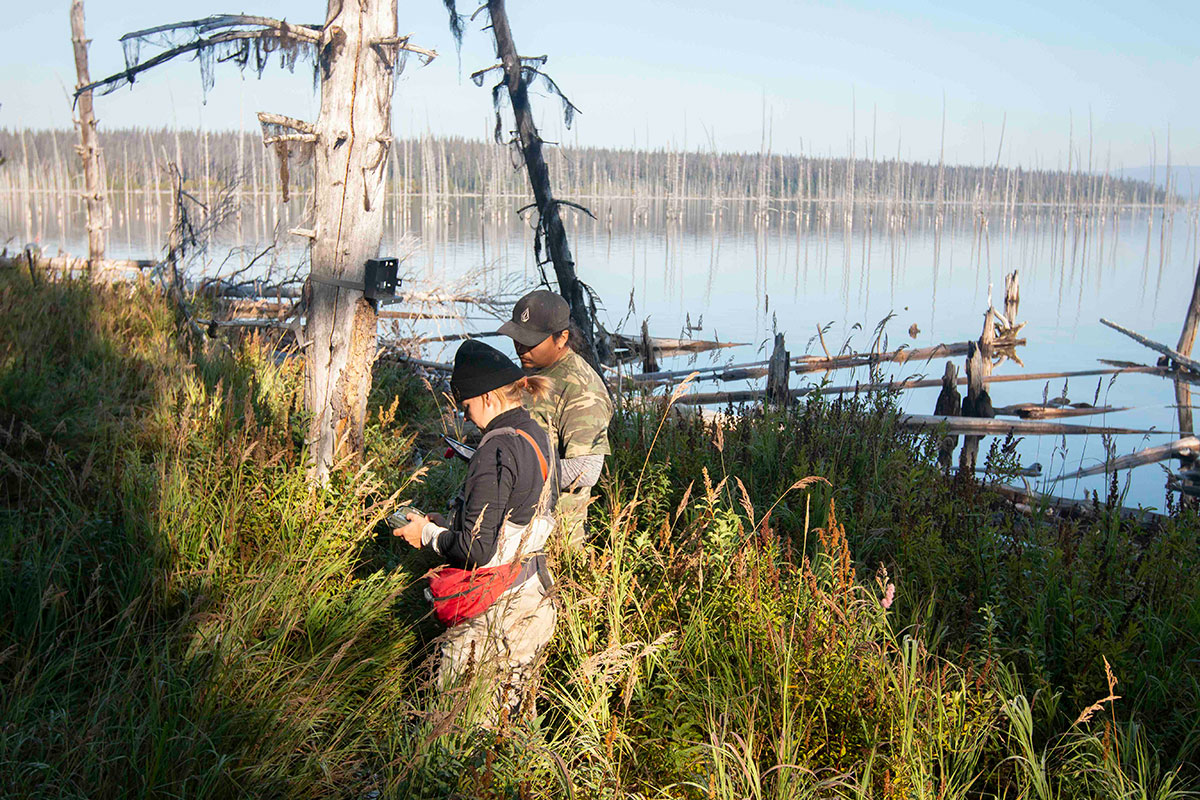 Two people, a woman in a black shirt and toque and a man in a camouflage T-shirt, stand next to a tree looking at an electronic device. Behind them is a body of water that includes standing dead trees.