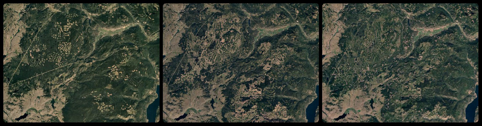 1200px version of WhiteRockLakeAerial.jpg