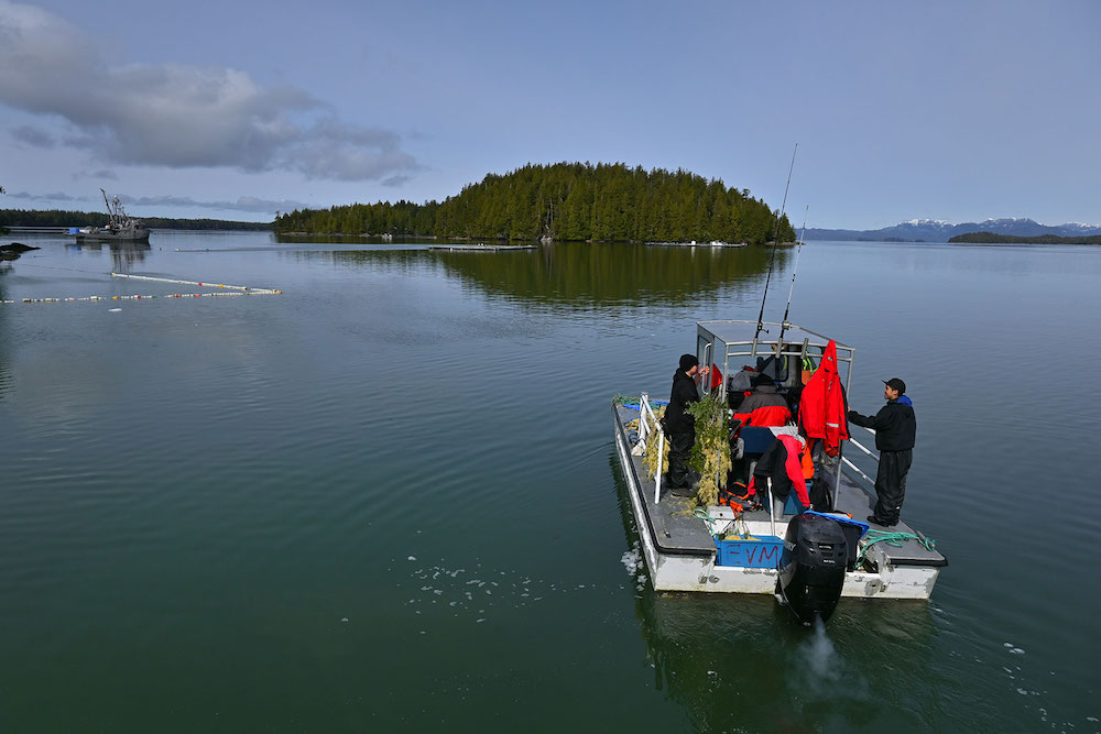A silver boat with people in all black and bright orange outfits heads out into a calm sea. A small island covered in trees is in the distance.