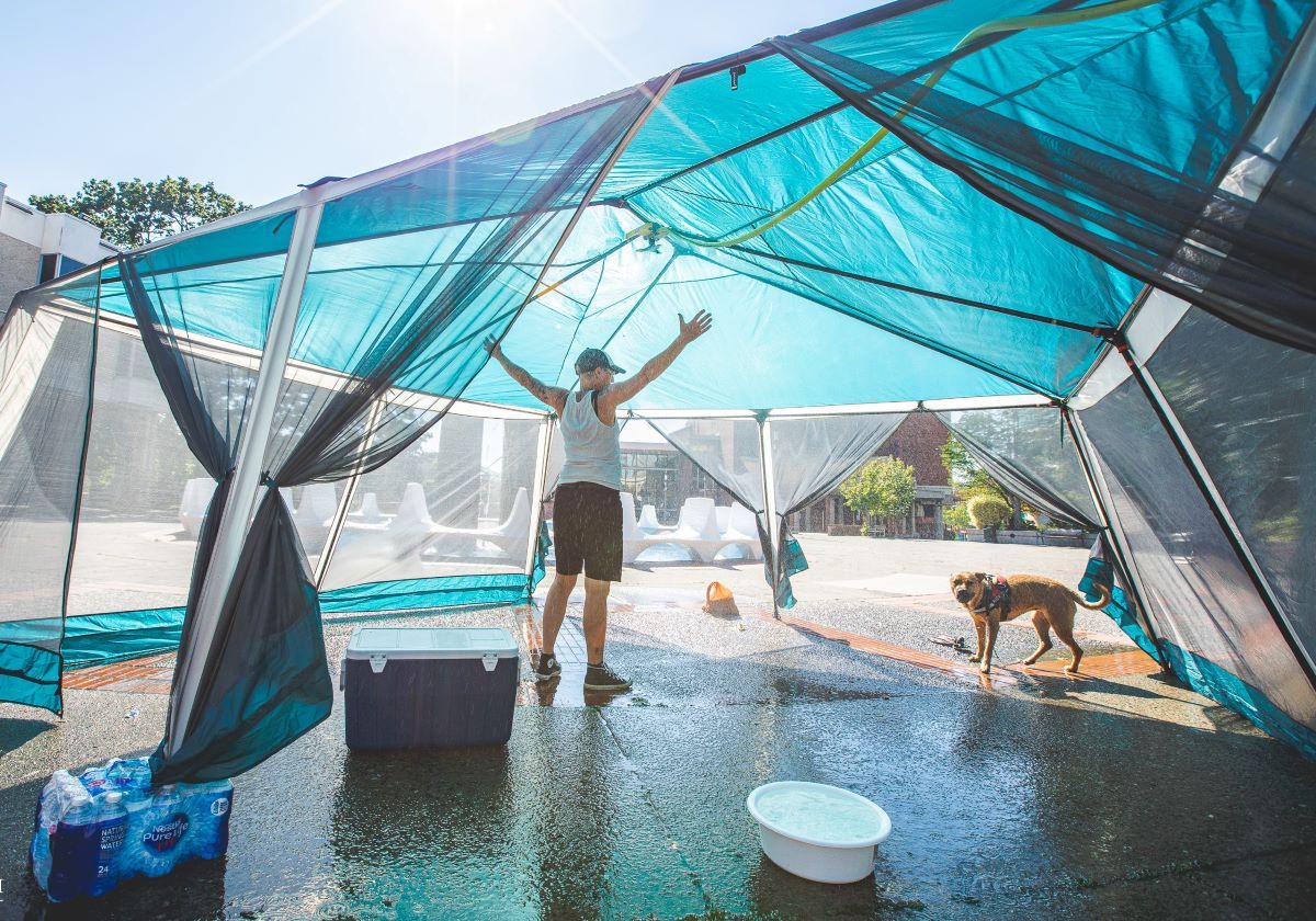 851px version of Misting station in a heat wave