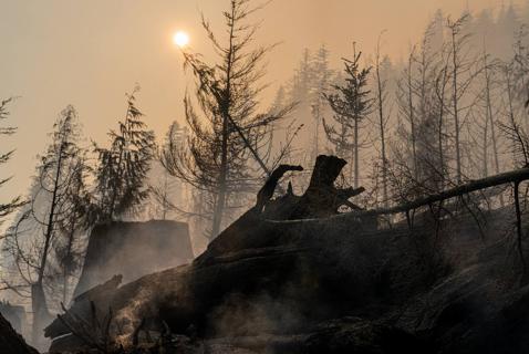 To Tackle Rising Costs of Living, Let’s Move on Climate Solutions