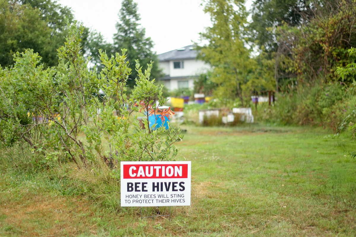 A sign that reads &ldquo;Caution: Bee Hives. Honey bees will sting to protect their hives.&rdquo; There are some colourful hives in the background. To the left are some blueberry bushes.