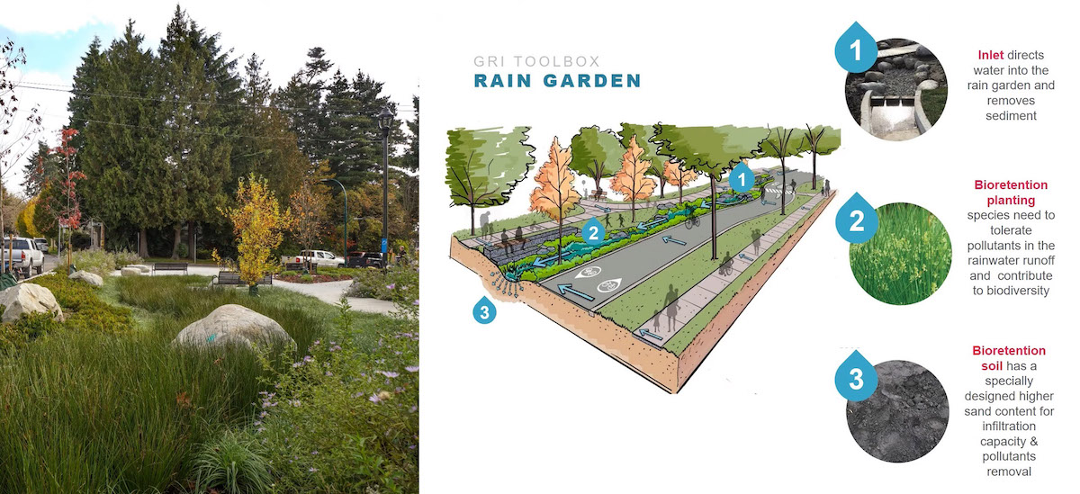 A photograph of a grassy strip by a residential sidewalk. Beside it is an illustrated diagram of how that strip functions, with runoff directed into the strip to be filtered by plants and soil.