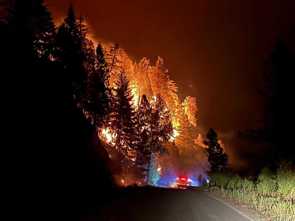Burning trees cast yellow and orange light against the night sky, with an emergency vehicle&rsquo;s blue and red lights in the foreground.