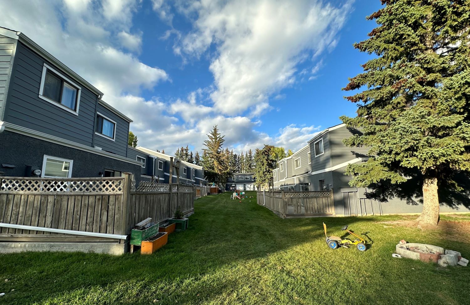 A grassy alleyway behind rows of grey housing units and wooden fencing has plant beds and discarded toys.