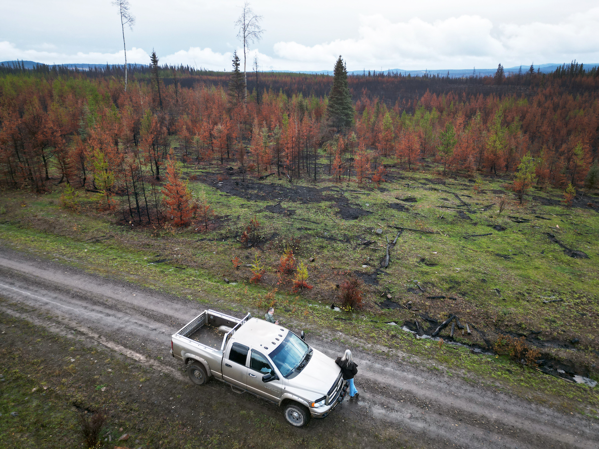 An overhead image shows a gravel road with a truck stopped and a woman leaning on the truck. Behind, trees are singed and burned in the distance.