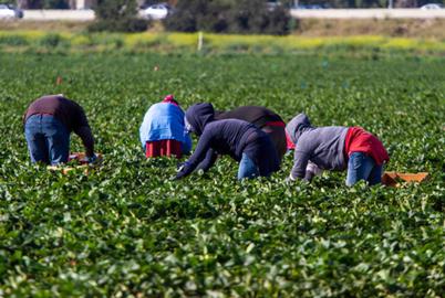 Migrant Workers Say Program Changes Would Hurt, Not Help