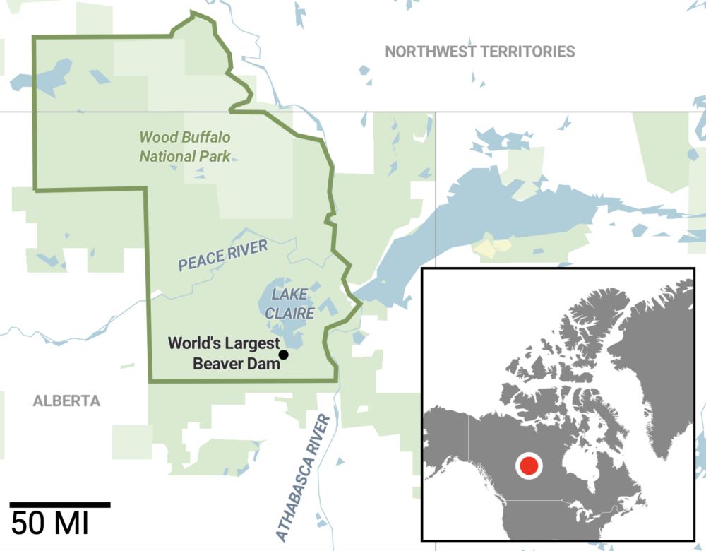 A map of the region between Alberta and the Northwest Territories that includes Wood Buffalo National Park, home of the world&rsquo;s largest beaver dam.
