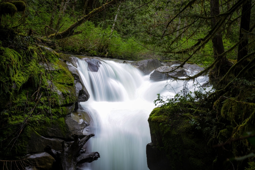 A waterfall in the forest. The photo has been taken with long exposure.