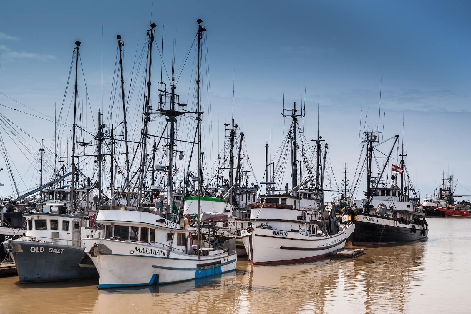 A fleet of fishing boats docked in Steveston, B.C. on a bright sunny day against a blue sky.