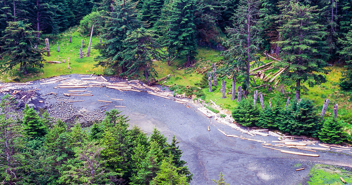 An aerial shot of a river surrounded by evergreens and lush greenery.