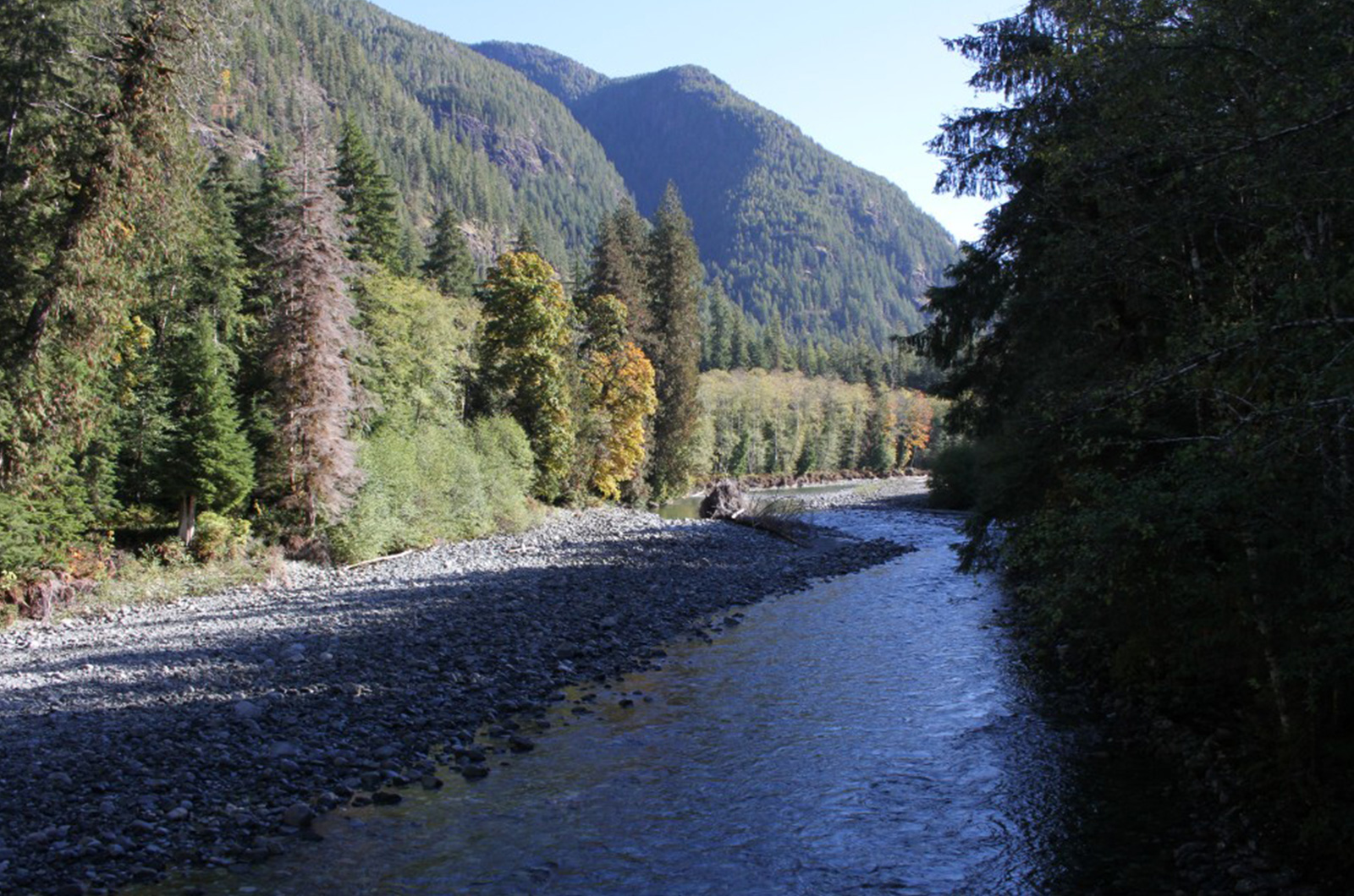 Nootka Sound
