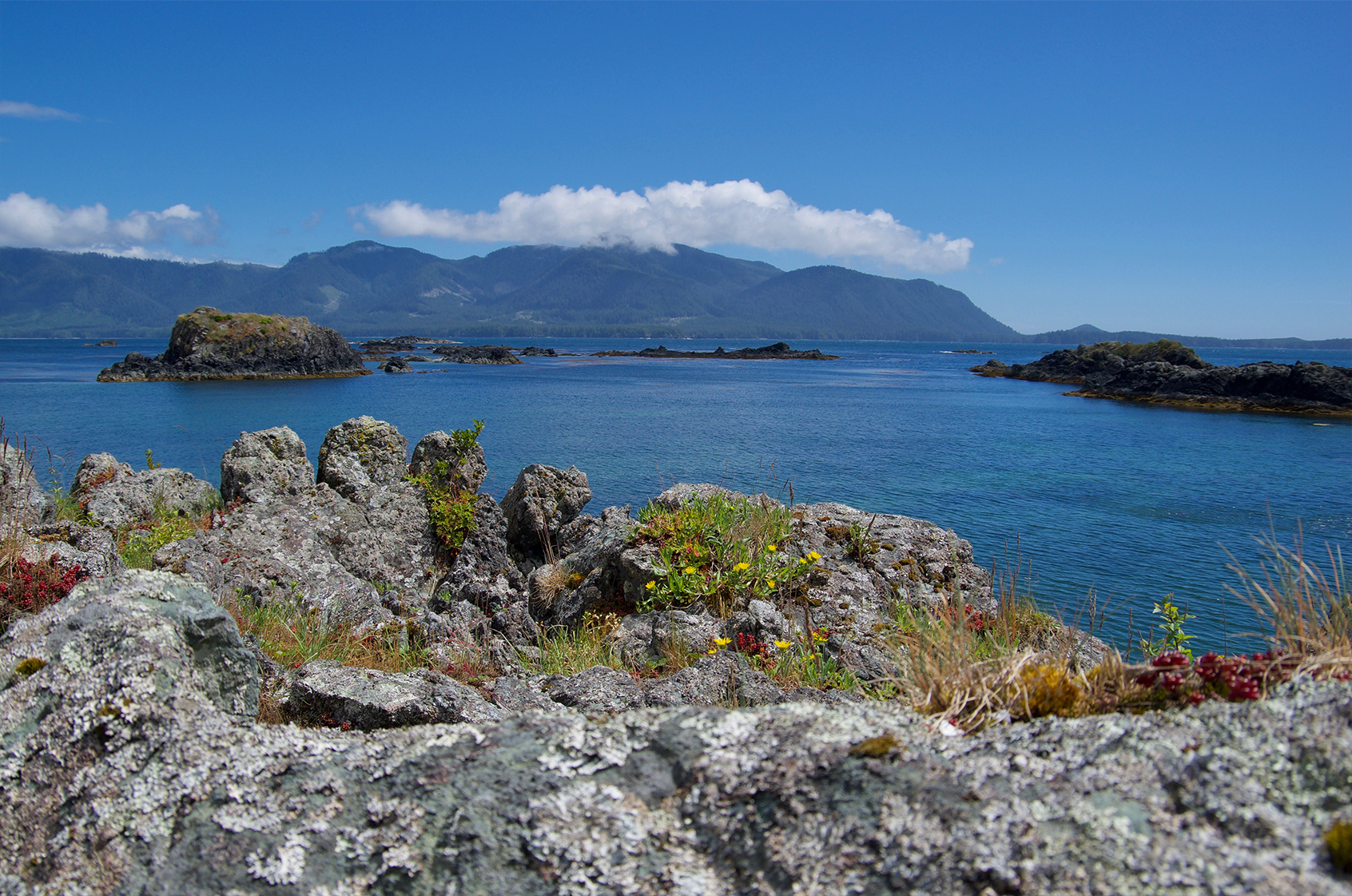 Nootka Island