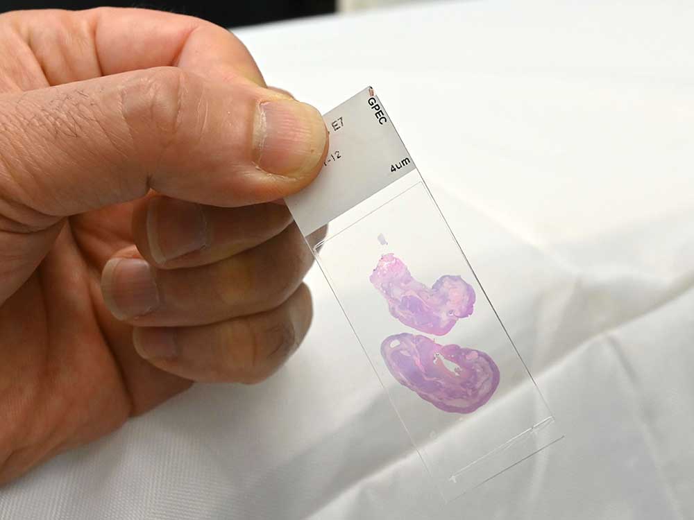 A hand holds a small, clear rectangle of glass against a white background. On the small rectangle of glass are two pink and purple splotches. 