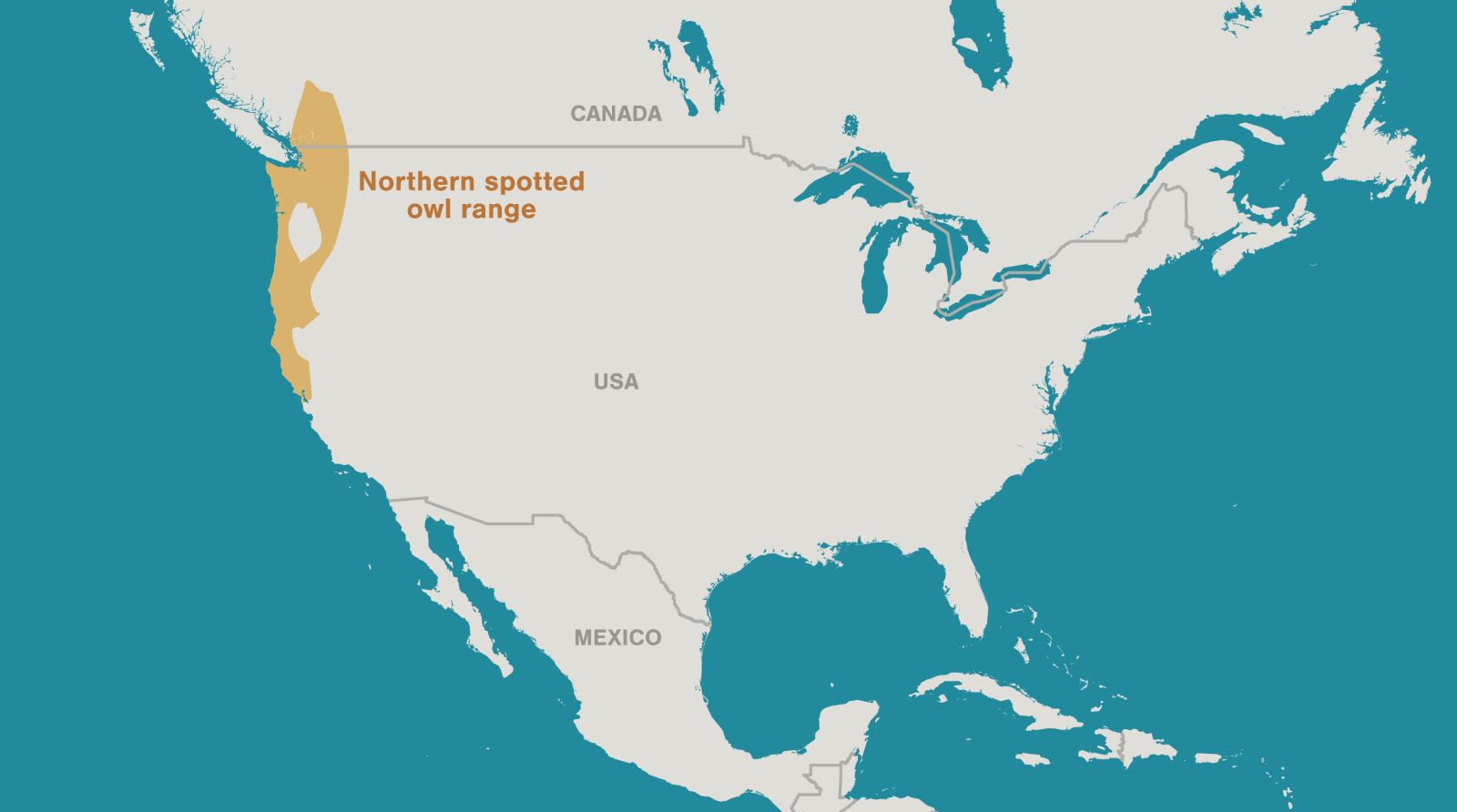 A map of North America with the range of the northern spotted owl highlighted in orange.