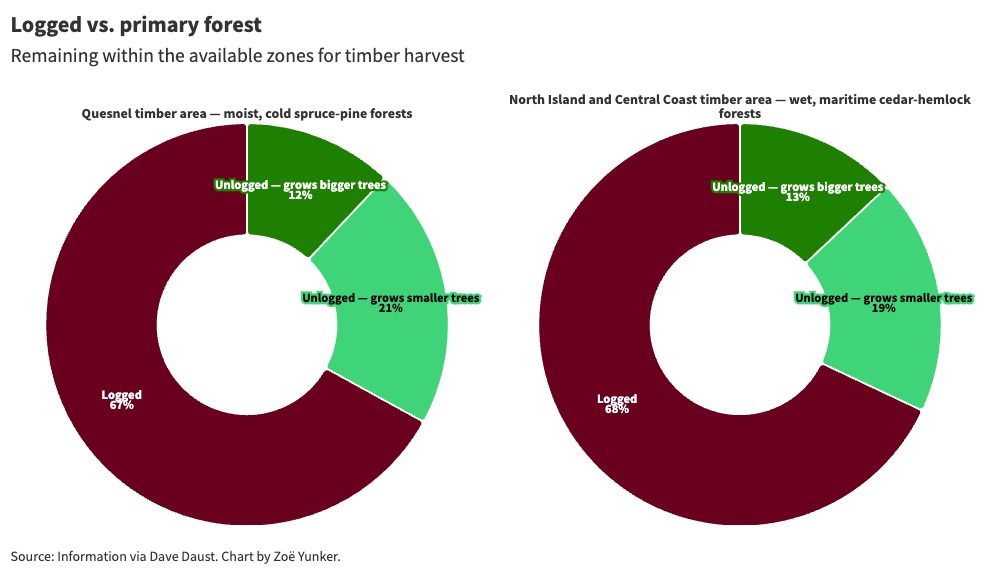 On the left, a doughnut graph of spruce-pine forest in southern Quesnel shows that about two-thirds of the forest has been logged, with much smaller segments left for big-treed primary forest and smaller-treed primary forest. On the right, a doughnut graph of western hemlock forest on the North Island and Central Coast shows that about two-thirds of the forest has been logged, with much smaller segments left for big-treed primary forest and smaller-treed primary forest.