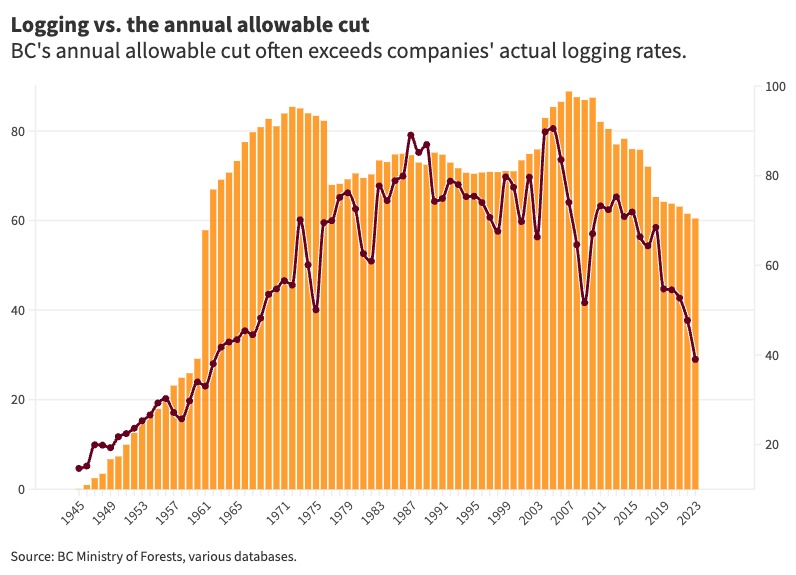 A combo chart shows orange bars, representing B.C.’s allowable annual cut, compared with actual logging levels represented as a purple line. The allowable annual cut is usually higher than the actual logging levels, with two major spikes in the 1960s and in the 2000s.