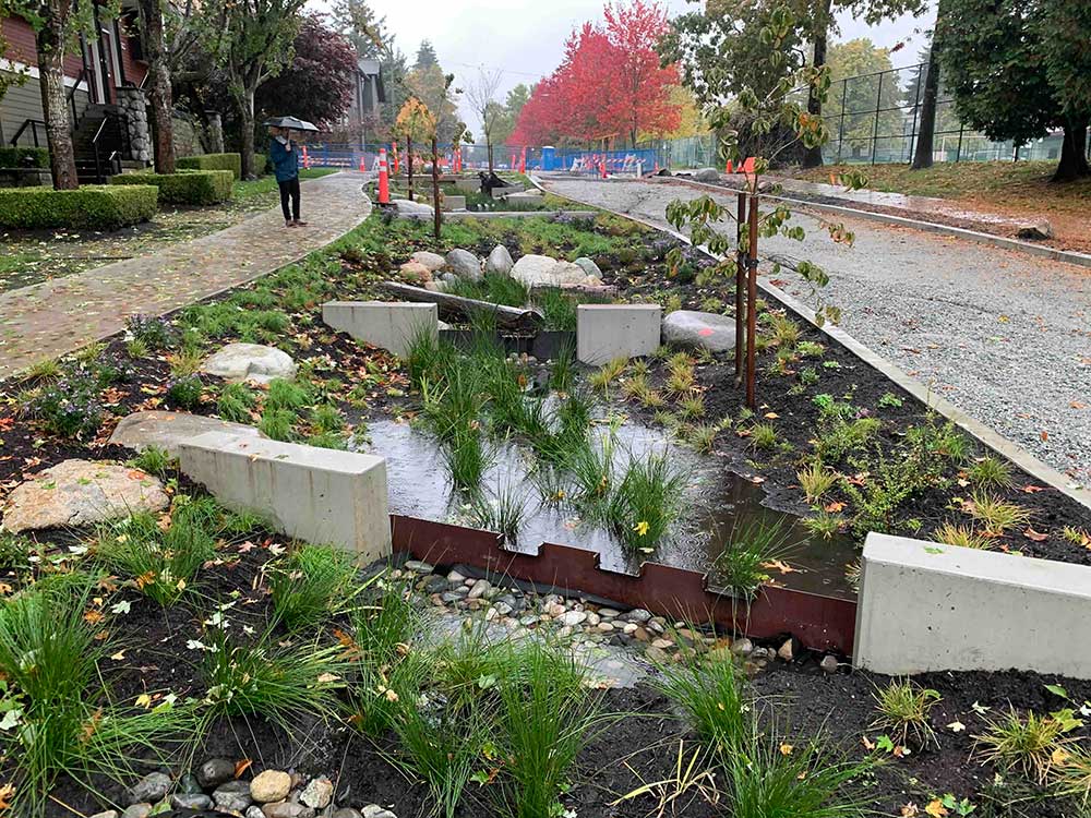 A rainway on St. George Street in Vancouver’s Mount Pleasant neighbourhood on a grey, rainy day. In the foreground is a stretch of short green shrubbery growing on a manicured rainway featuring concrete structures and a middle section full of water and garden rocks. On the pathway to the left is a person standing with a black umbrella and blue raincoat.