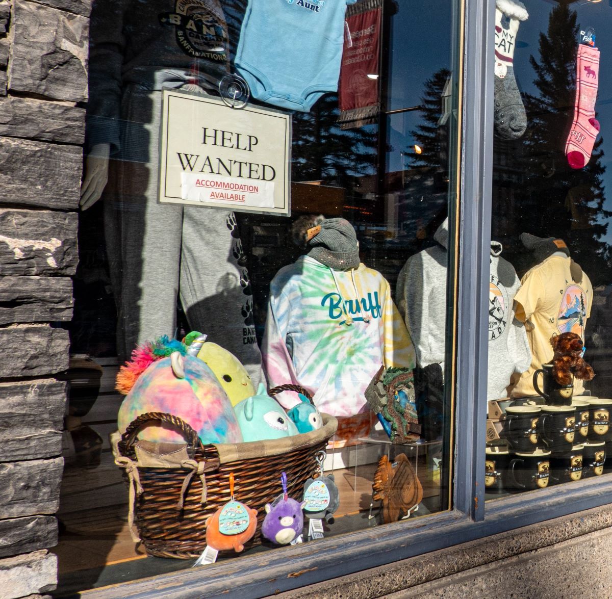 A gift shop window display features shirts, socks, plush toys and assorted souvenirs. A sign reading 'Help wanted, accommodation available' hangs in the window.
