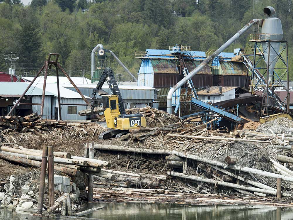 A photo shows a dilapidated-looking sawmill with a large yellow digger on a pile of logs and waste.