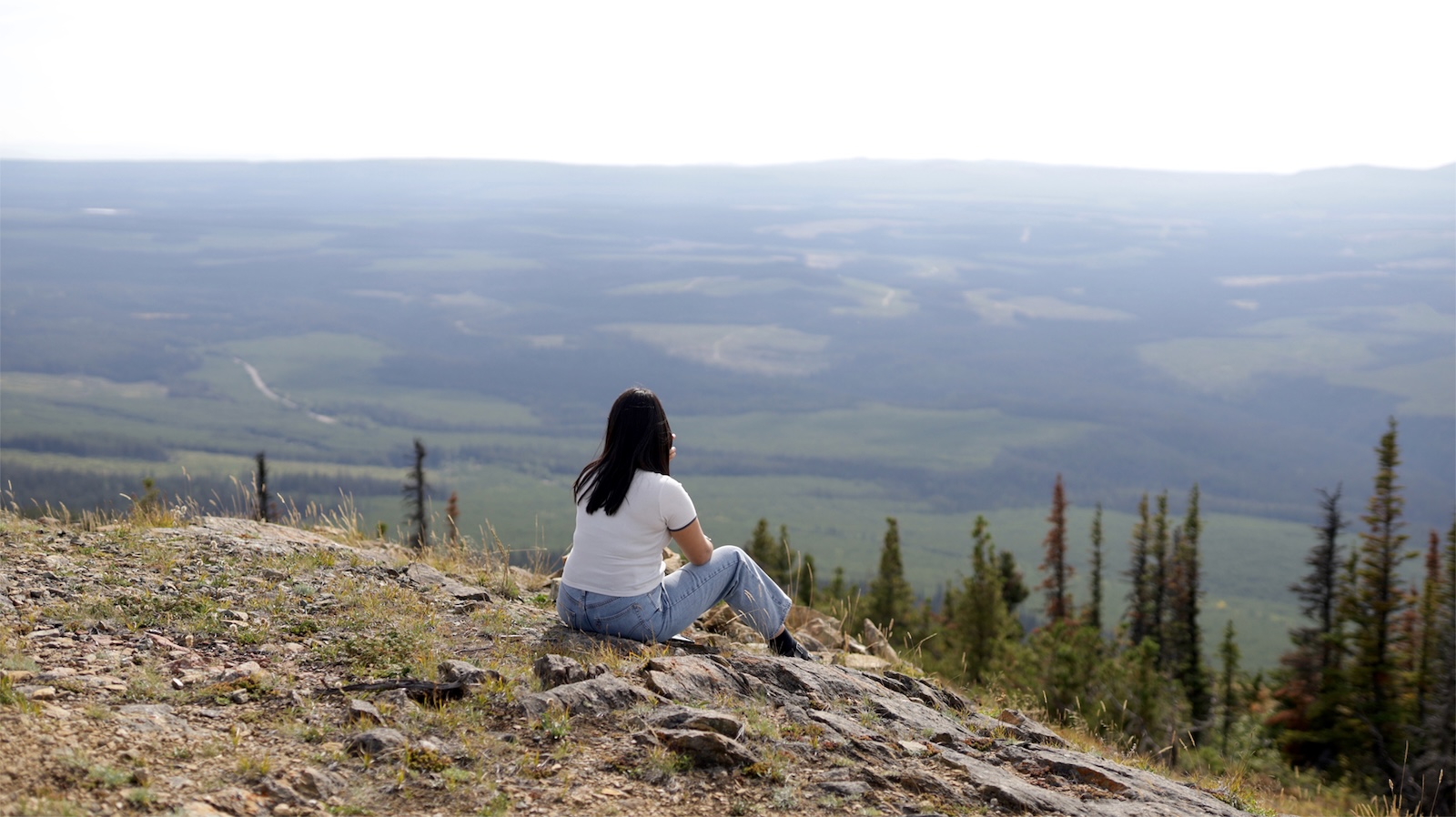 Kasandra Turbide sits with her back to the camera, looking out over a forested, heavily logged landscape.
