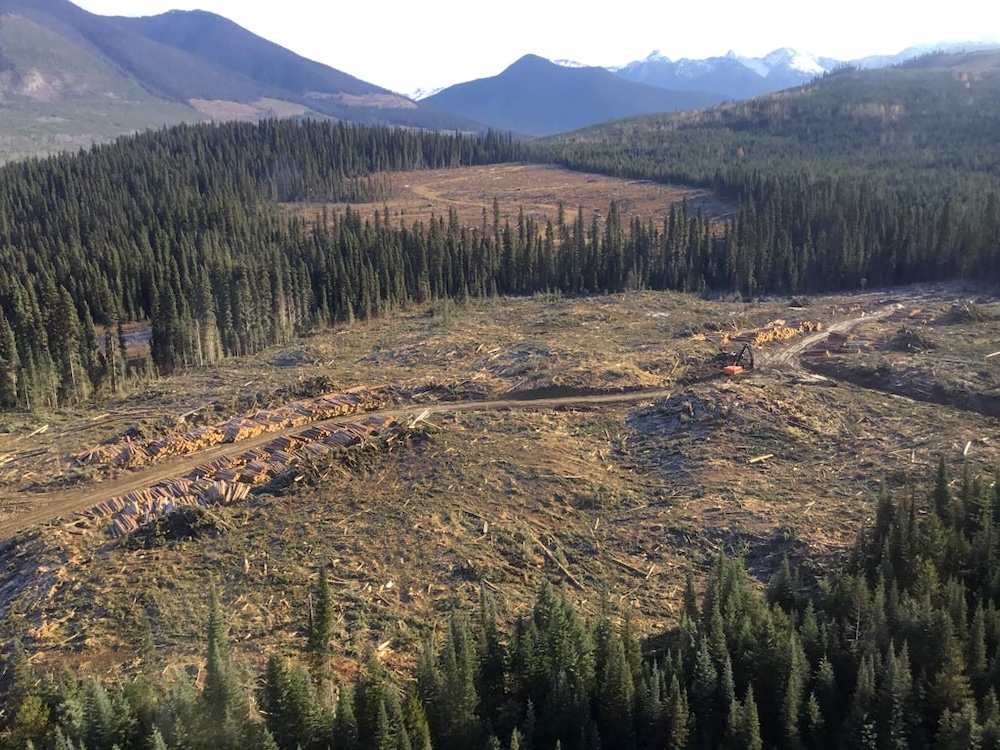A cutblock in the Quesnel Natural Resource District. A road runs through it. There are logs stacked on the side of the road, and heavy machinery at work.