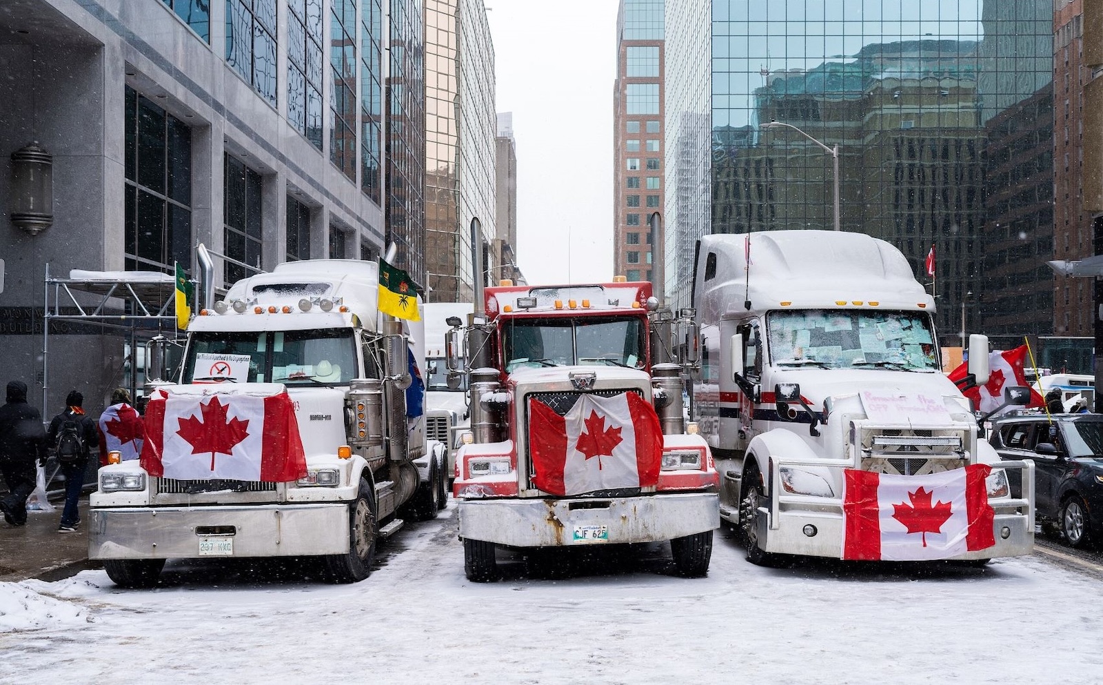 Seen head-on, three semi trucks coated in snow, Canadian flags draping the grilles of each, sit side by side filling a city street.