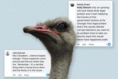 How a BC Ostrich Farm Sparked a Far-Right Crusade