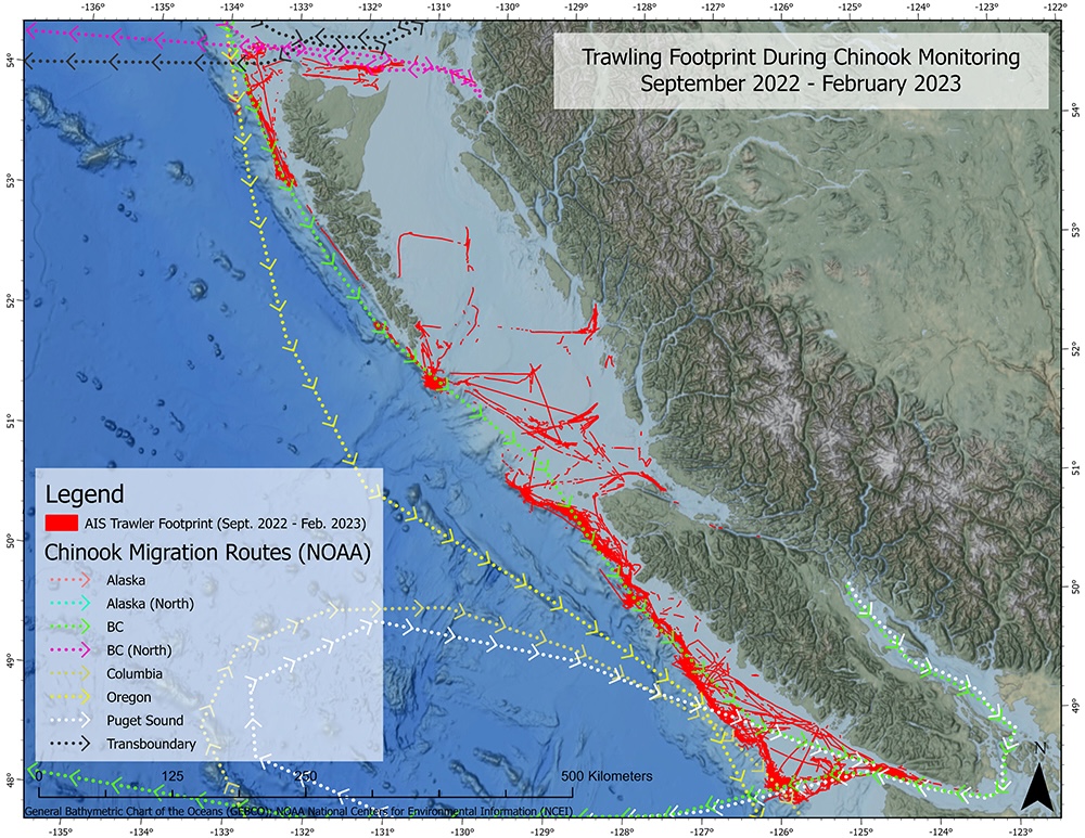 A map of the B.C. coast shows the migration routes of chinook salmon populations. Also shown is the trawler footprint from September 2022 to February 2023.