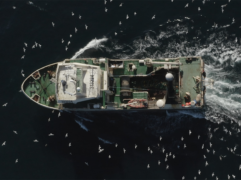 An aerial image of a boat on the water, surrounded by sea gulls.  
