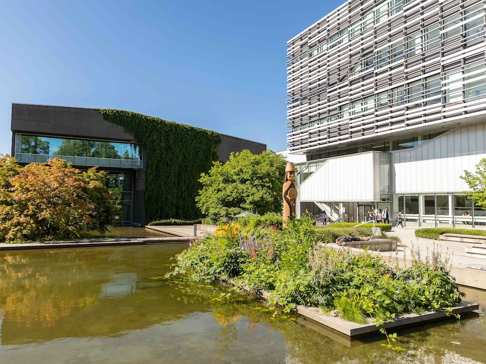 A view of the Langara College campus in Vancouver on a clear day. A wide dark grey building with vines on its side is in the background, and a more contemporary white building is to the right of the frame. The camera overlooks a flat, shallow pond around which plants are growing. A small wooden totem pole is toward the centre of the frame.