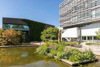 Langara Is an Environmental Leader. But the College Is Losing Staff