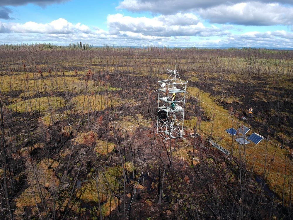 A person wearing a high-vis vest and hard hat stands in a research tower amidst a burned peat bog.