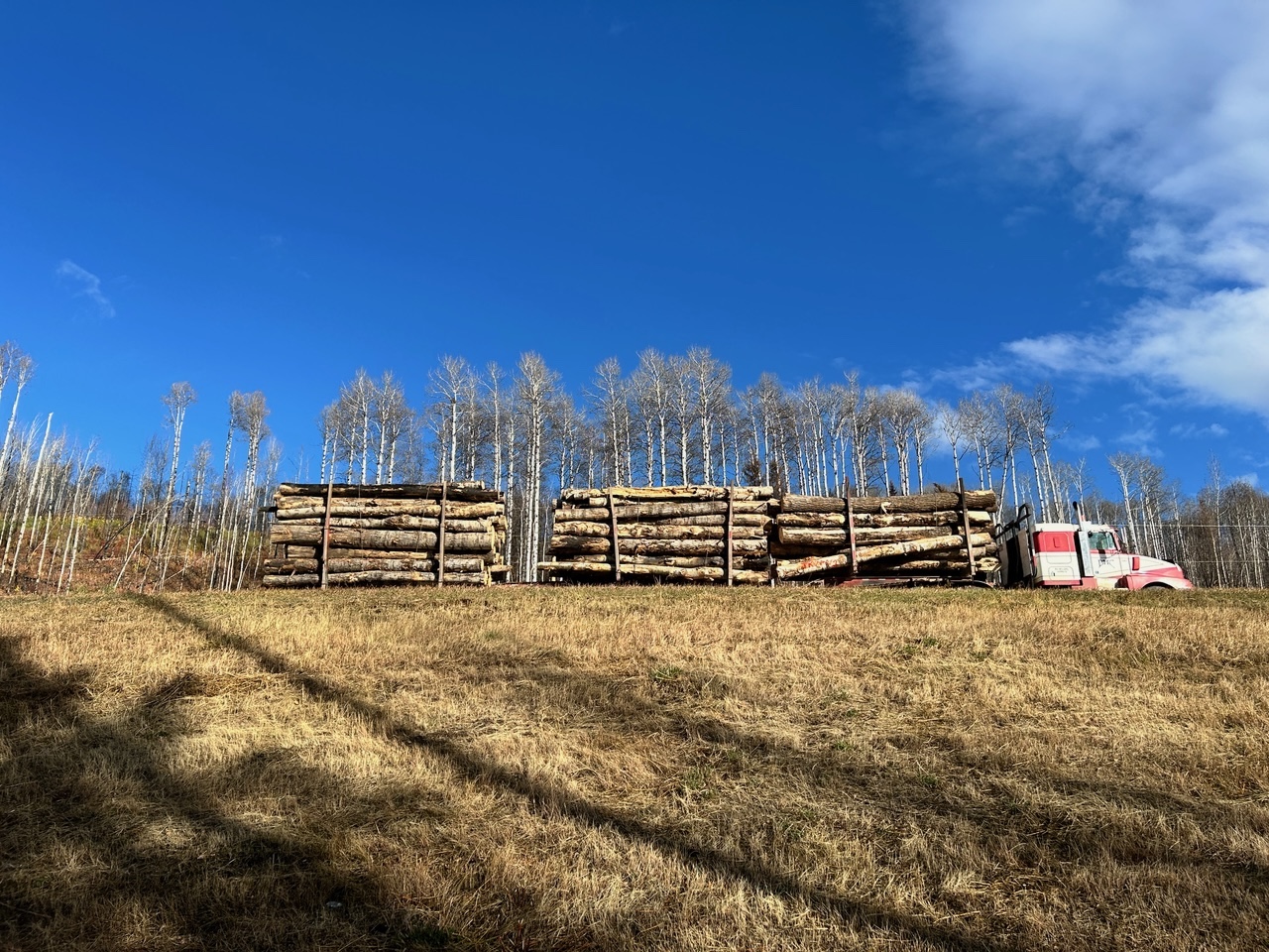 A logging truck loaded with logs.