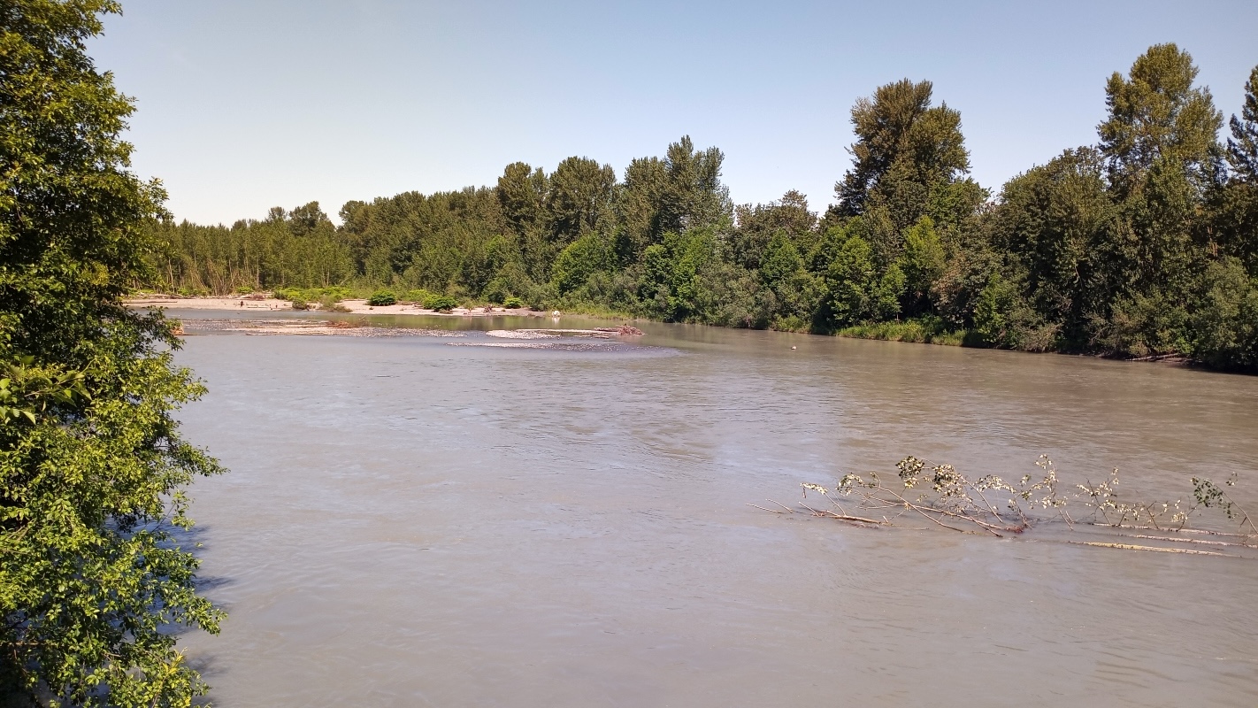 A river flowing through deciduous trees in the summer across mostly flat landscape.