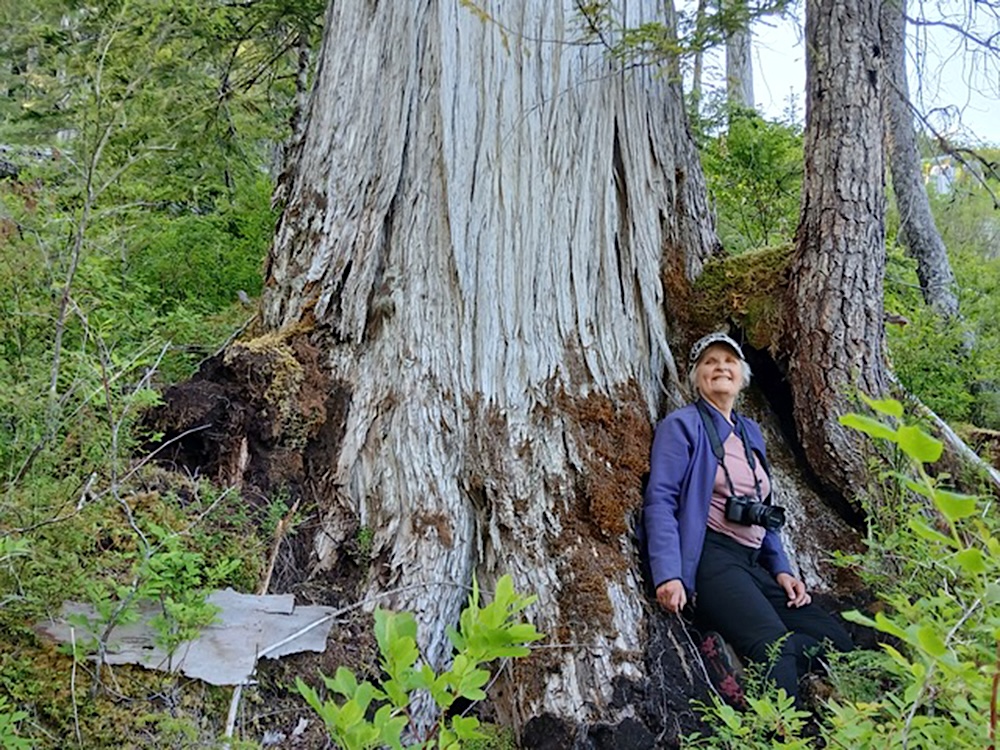 An older woman with light skin tone and grey hair under a baseball cap stands at the foot of a large old-growth tree.