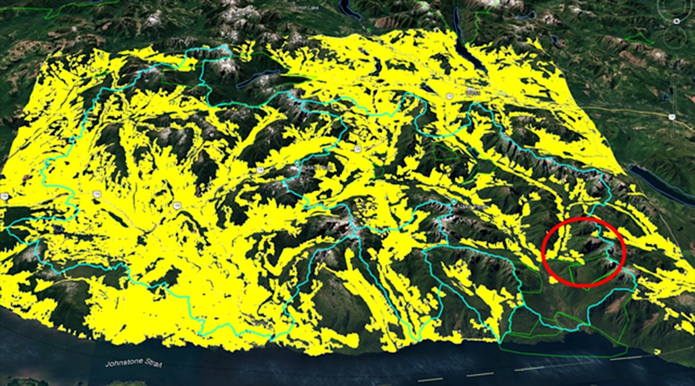 A map shows a lot of yellow superimposed on green forests. One of the small patches of green that is left has been circled in red.