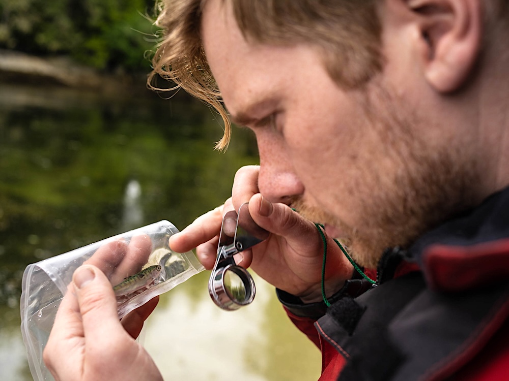 A man with light skin and short blond hair holds up a plastic bag containing a small silvery juvenile salmon. The man is holding a small magnifying glass for examining the fish.