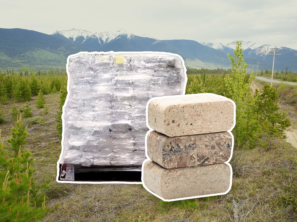 Images of a pallet and compressed wood-fibre bricks are laid over a landscape photo of a flat area with young pine trees. Large mountains are in the distance.