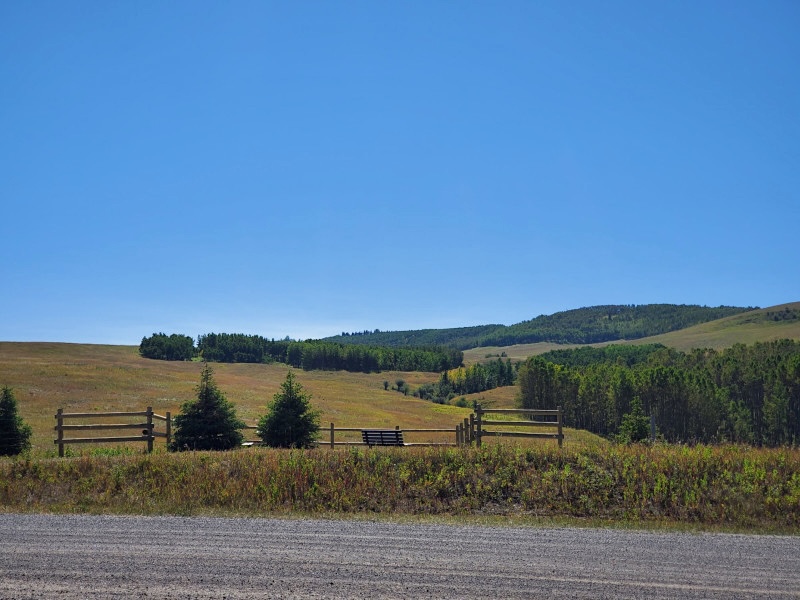 A photo looks across a gravel road to grasslands and trees under sunny skies.