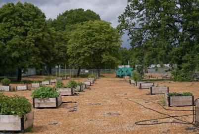 A Billionaire Developer Gets a Tax Break for Vancouver Gardens