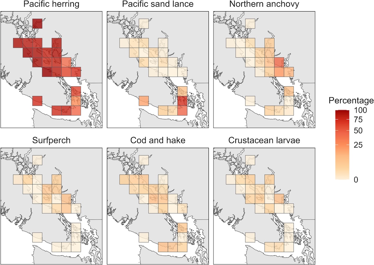 Graphs show the popularity of different forage fish in the Salish Sea in the summer.