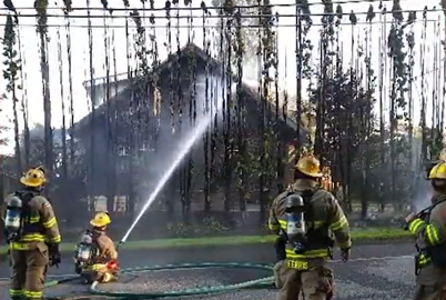 Cedar Hedges ‘Go Up Like a Roman Candle’ During Wildfires