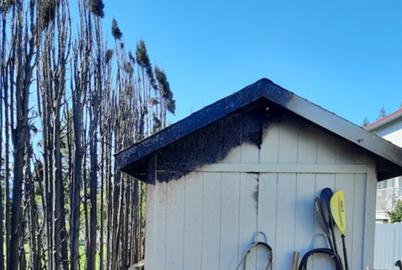Cedar Hedges ‘Go Up Like a Roman Candle’ During Wildfires
