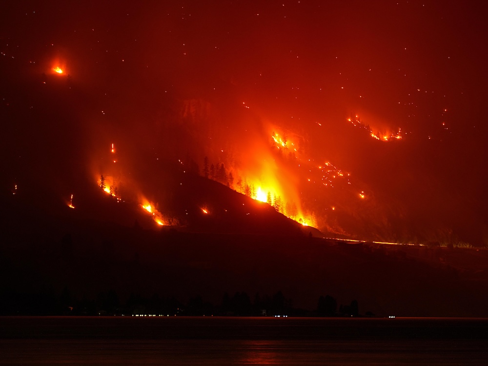 A mountainside at night with flames from a forest fire streaked across the hillside.