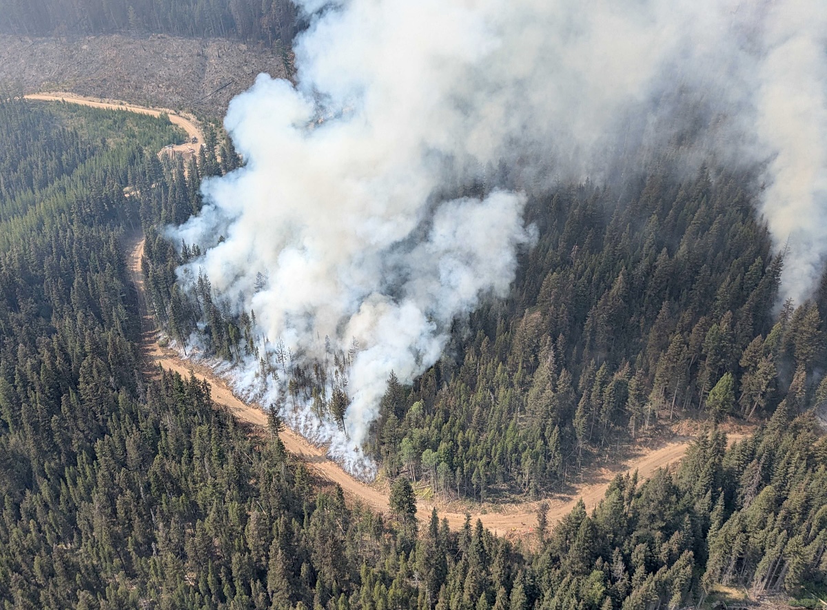 Smoke billows into the sky in a neat line in front of a fireguard that resembles a forestry road.