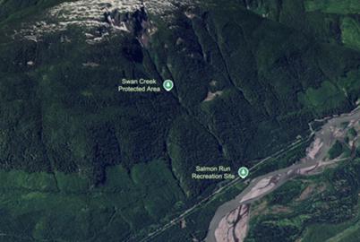 Old Growth on the Chopping Block for the North Coast Transmission Line